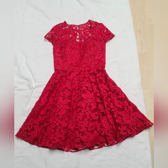 Ted Braker Elegant Red Lace Dress, size 2 - Picture 9 of 16